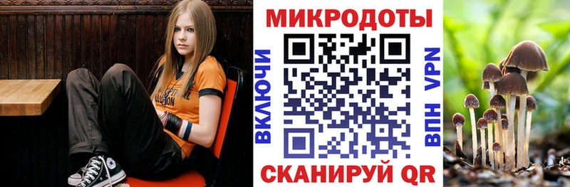 сколько стоит Котовск Псилоцибиновые грибы GOLDEN TEACHER
