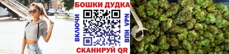 Бошки Шишки семена  хочу   Котовск 